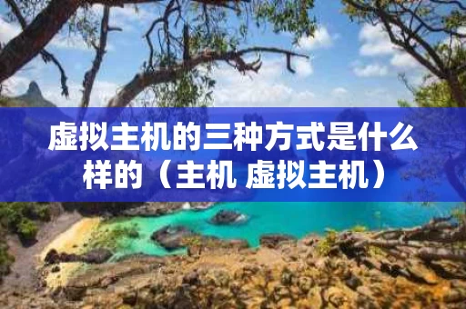虚拟主机的三种方式是什么样的（主机 虚拟主机）