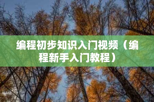 编程初步知识入门视频（编程新手入门教程）