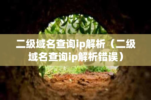 二级域名查询ip解析（二级域名查询ip解析错误）