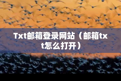 Txt邮箱登录网站（邮箱txt怎么打开）