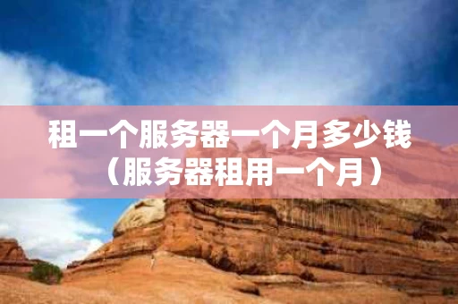 租一个服务器一个月多少钱（服务器租用一个月）