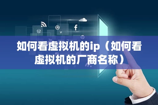如何看虚拟机的ip（如何看虚拟机的厂商名称）