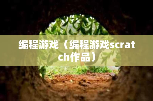 编程游戏（编程游戏scratch作品）