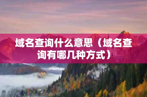 域名查询什么意思（域名查询有哪几种方式）