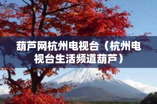葫芦网杭州电视台（杭州电视台生活频道葫芦）