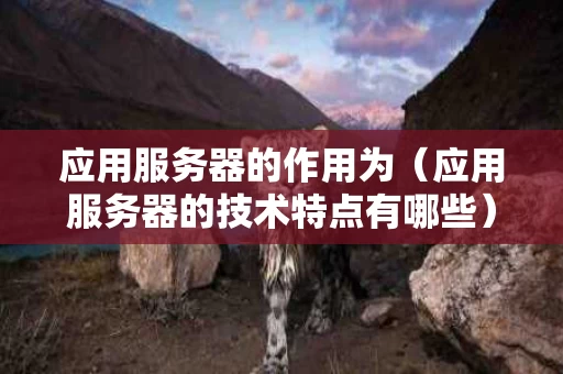 应用服务器的作用为（应用服务器的技术特点有哪些）