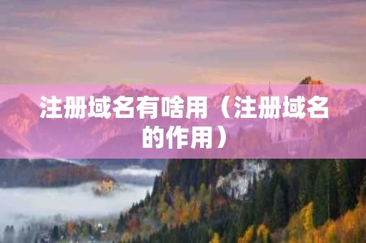 注册域名有啥用（注册域名的作用）
