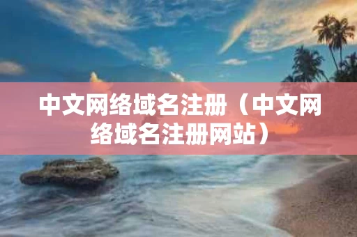 中文网络域名注册（中文网络域名注册网站）