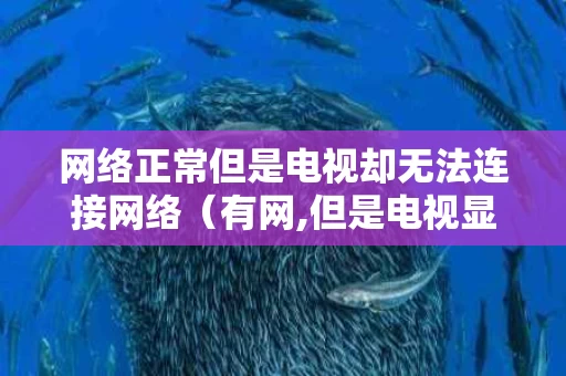 网络正常但是电视却无法连接网络（有网,但是电视显示网络异常）