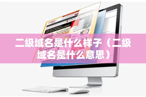 二级域名是什么样子（二级域名是什么意思）