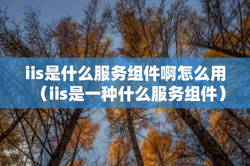 iis是什么服务组件啊怎么用（iis是一种什么服务组件）