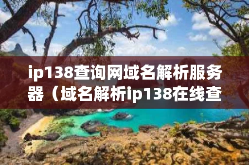 ip138查询网域名解析服务器（域名解析ip138在线查询）