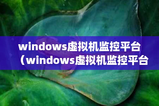windows虚拟机监控平台（windows虚拟机监控平台是hyperv吗）