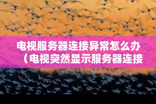 电视服务器连接异常怎么办（电视突然显示服务器连接异常是什么问题）