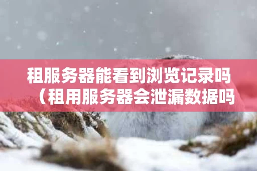 租服务器能看到浏览记录吗（租用服务器会泄漏数据吗）