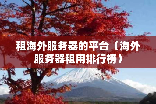 租海外服务器的平台（海外服务器租用排行榜）