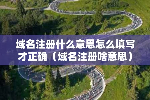 域名注册什么意思怎么填写才正确（域名注册啥意思）
