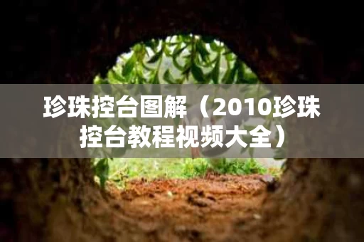珍珠控台图解（2010珍珠控台教程视频大全）