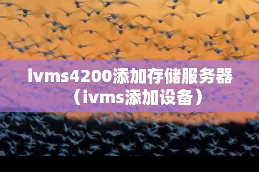 ivms4200添加存储服务器（ivms添加设备）