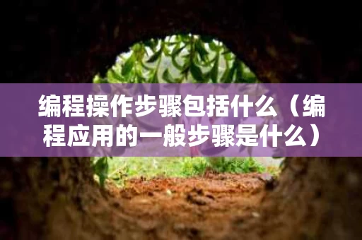 编程操作步骤包括什么（编程应用的一般步骤是什么）