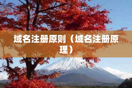 域名注册原则（域名注册原理）
