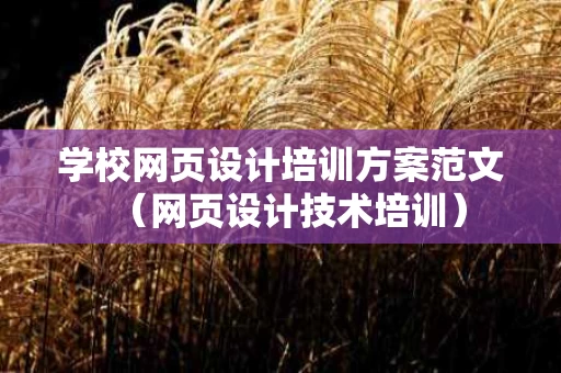 学校网页设计培训方案范文（网页设计技术培训）