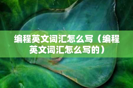 编程英文词汇怎么写（编程英文词汇怎么写的）