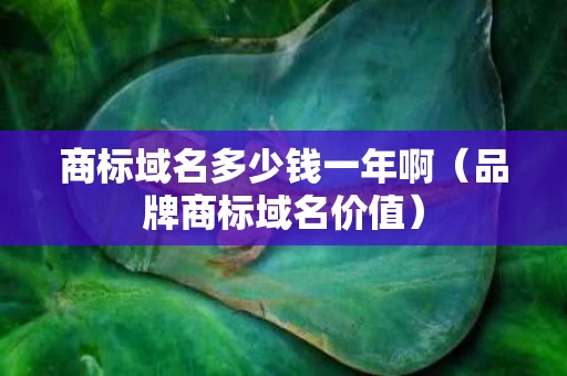 商标域名多少钱一年啊（品牌商标域名价值）