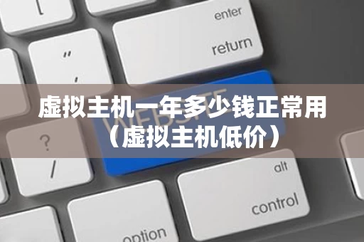 虚拟主机一年多少钱正常用（虚拟主机低价）