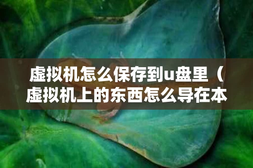 虚拟机怎么保存到u盘里（虚拟机上的东西怎么导在本地电脑上）