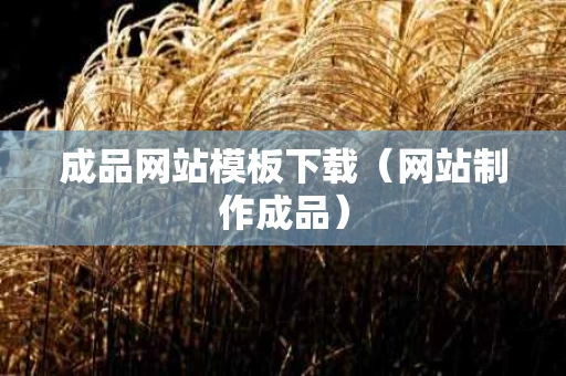 成品网站模板下载（网站制作成品）