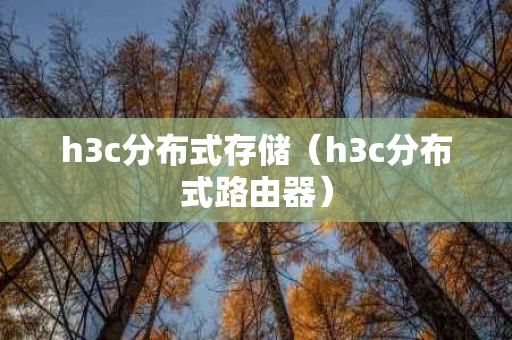 h3c分布式存储（h3c分布式路由器）