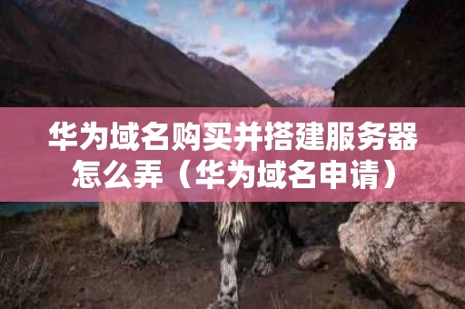 华为域名购买并搭建服务器怎么弄（华为域名申请）