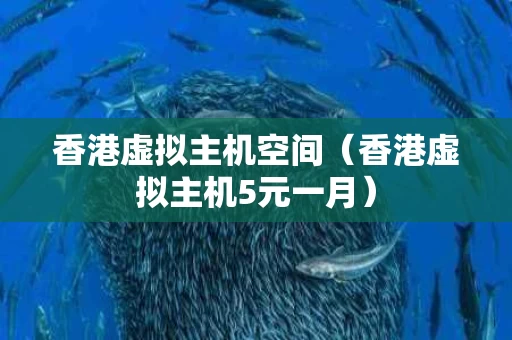 香港虚拟主机空间（香港虚拟主机5元一月）