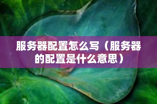 服务器配置怎么写（服务器的配置是什么意思）