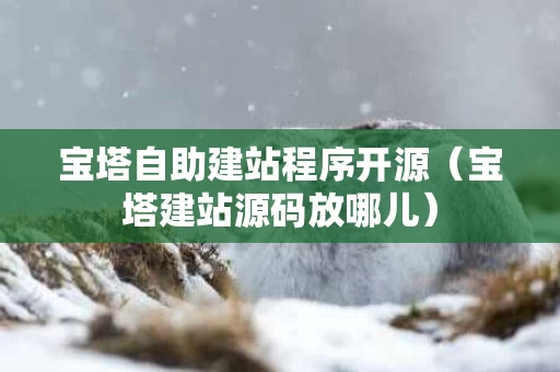 宝塔自助建站程序开源（宝塔建站源码放哪儿）