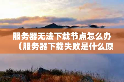 服务器无法下载节点怎么办（服务器下载失败是什么原因）