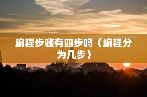 编程步骤有四步吗（编程分为几步）
