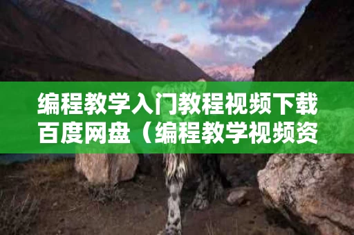 编程教学入门教程视频下载百度网盘（编程教学视频资源）
