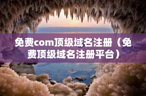 免费com顶级域名注册（免费顶级域名注册平台）