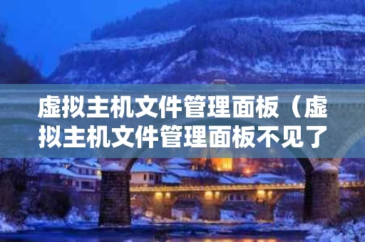 虚拟主机文件管理面板（虚拟主机文件管理面板不见了）