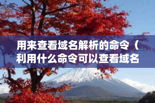 用来查看域名解析的命令（利用什么命令可以查看域名对应的ip地址）