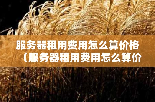 服务器租用费用怎么算价格（服务器租用费用怎么算价格的）