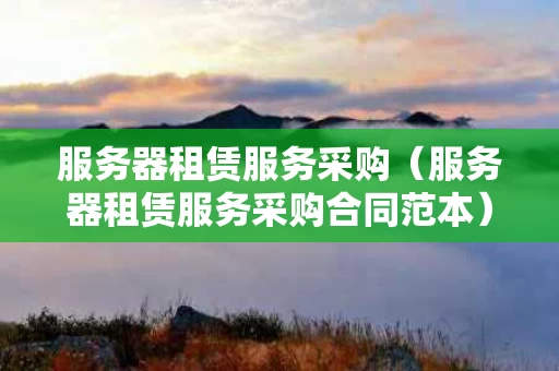 服务器租赁服务采购（服务器租赁服务采购合同范本）