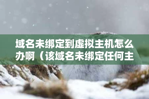 域名未绑定到虚拟主机怎么办啊（该域名未绑定任何主机）