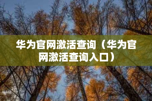 华为官网激活查询（华为官网激活查询入口）