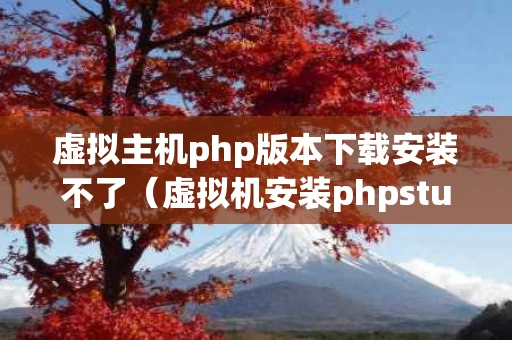 虚拟主机php版本下载安装不了（虚拟机安装phpstudy）
