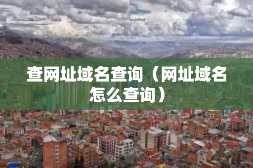 查网址域名查询（网址域名怎么查询）