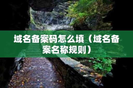 域名备案码怎么填（域名备案名称规则）