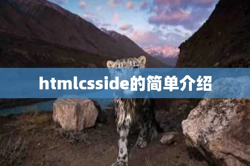 htmlcsside的简单介绍